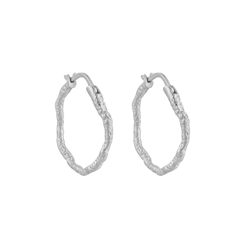 Liora Silver Earrings