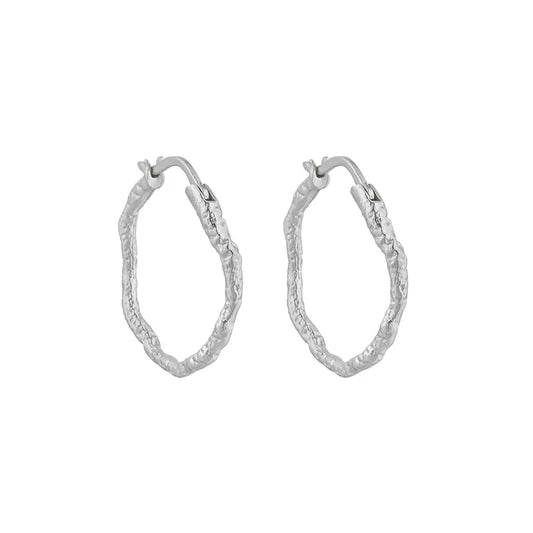 Liora Silver Earrings